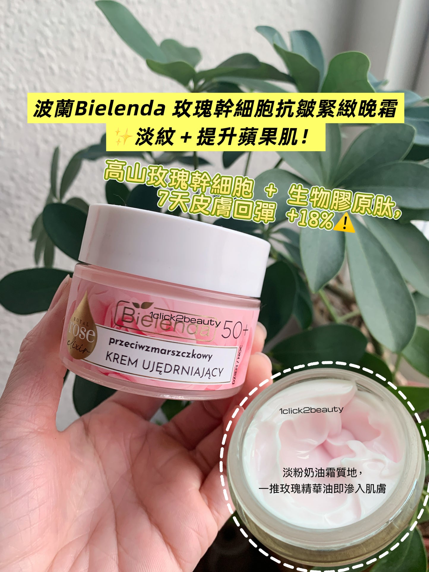 Bielenda Royal Rose Elixir抗皺緊緻霜50+ - 含皇家玫瑰精華與多肽複合物,深層滋潤並刺激膠原蛋白再生,針對皺紋和鬆弛肌膚,恢復肌膚彈性和光澤