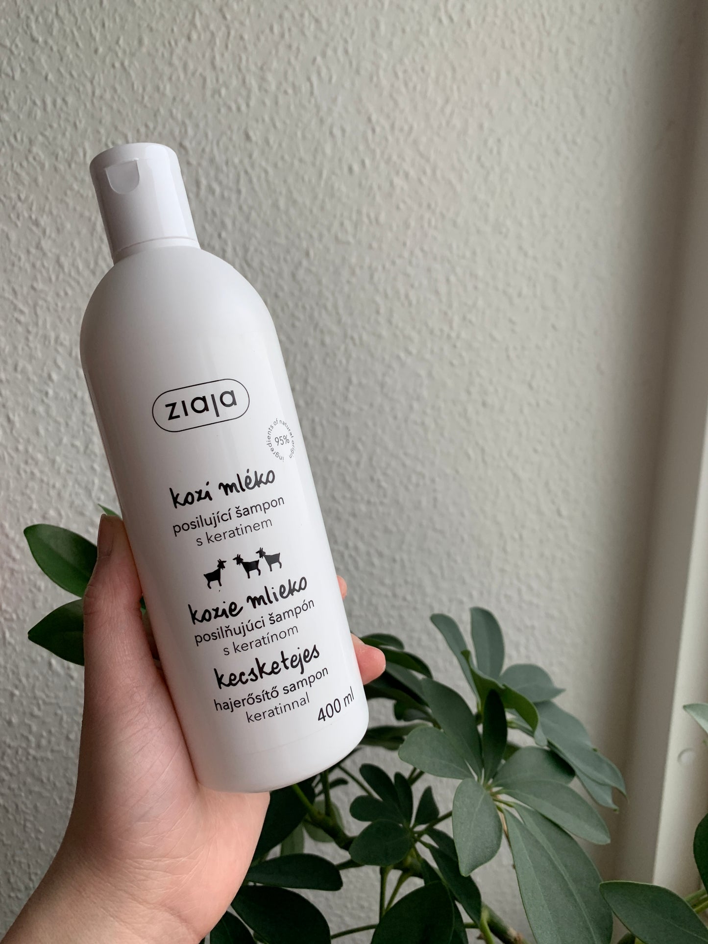 Ziaja 羊奶強韌潔淨洗髮水400ml - 1click2beauty