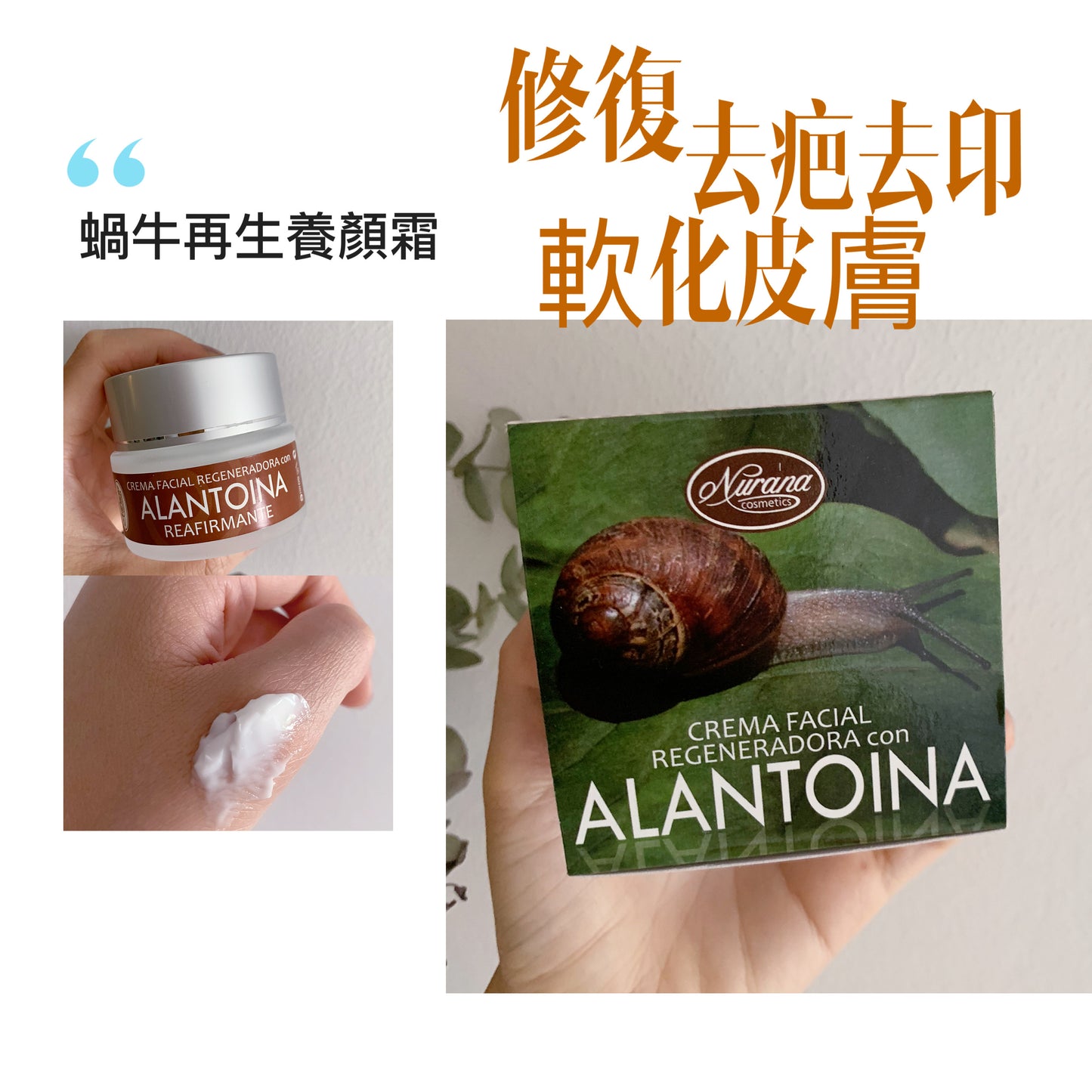西班牙Nurana Regenedarora With Allantoin Cream 蝸牛再生養顏霜 50ML - buy European skincare in Hong Kong - 1click2beauty